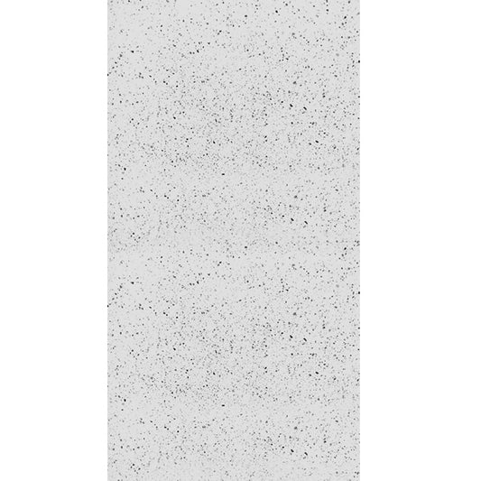 Silver White Marble 60x120 (12mm)