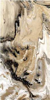 Y12101