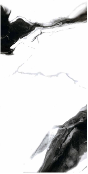 Y12123