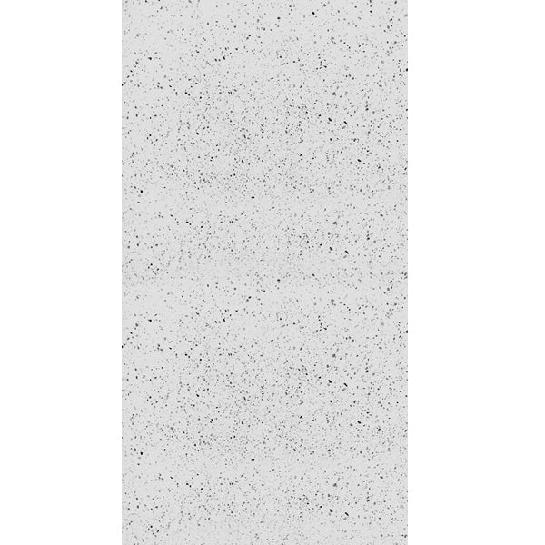 Silver White Marble 60x120 (12mm)